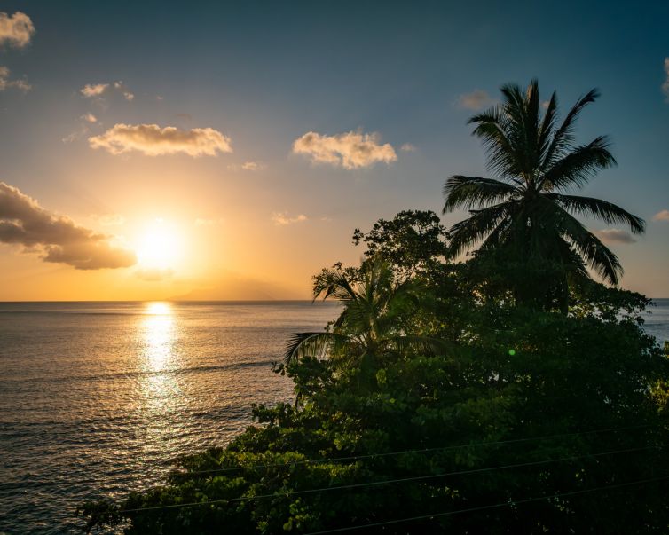 Beach House Lanscape Photos (69)