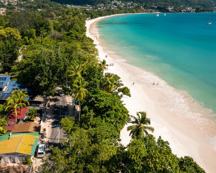 Beach House Landscape (9)